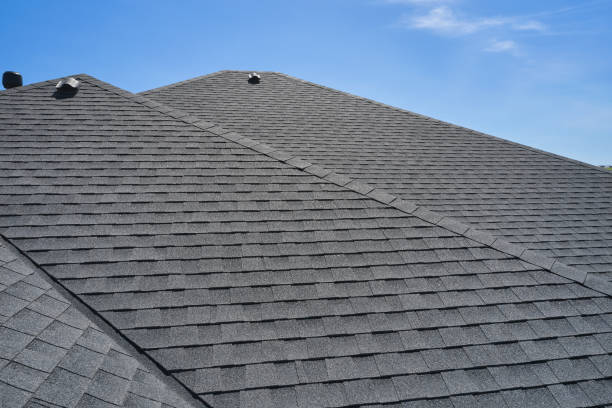 Best Roof Moss and Algae Removal  in Groveton, VA